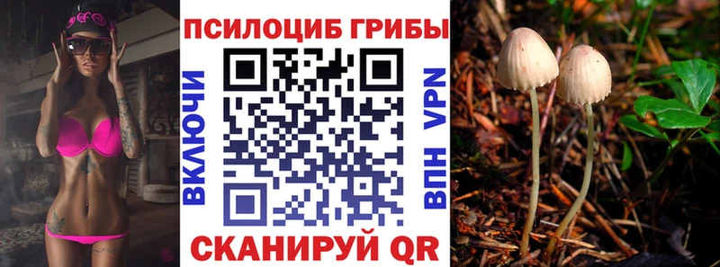 Купить где  Горячеводский  Псилоцибиновые грибы мицелий 